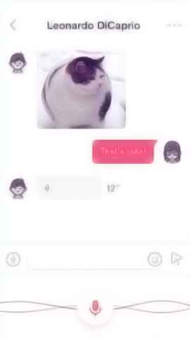 服务器攻击方式软件程序维护界面